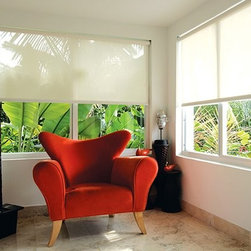 Roller Shades - Roller Shades