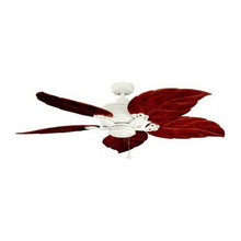 Ceiling Fans