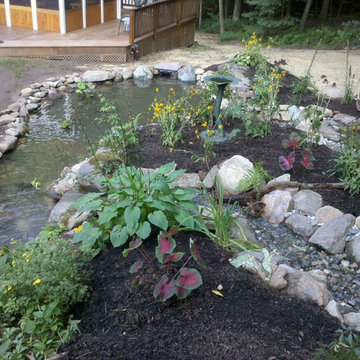 Back Yard Pond - Avon