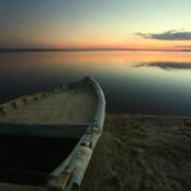 Mohamed Tarief's photo