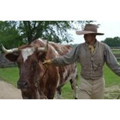 TJ Malaskee's photo
