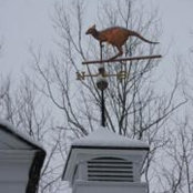 Sharon Ryan's photo
