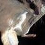 Brian Larson's photo