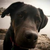 Kim Zinke's photo
