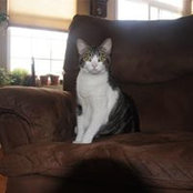 Michelle Kutten Stein's photo