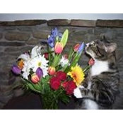 Karla Hostetler's photo