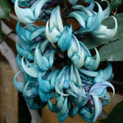 Teresa Matamoros's photo