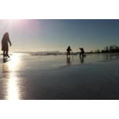 Deano Michieli's photo
