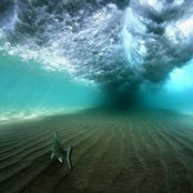Adriene Harrison's photo