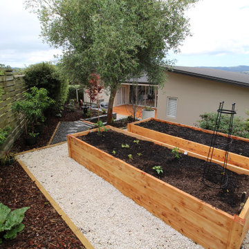 Contemporary Japanese Garden Morningside