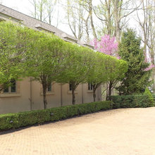 1400 Old Mill Rd Driveway