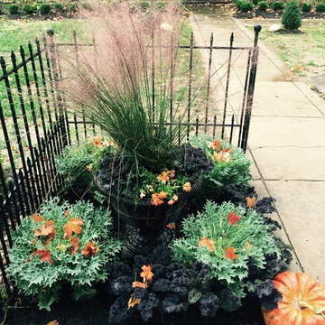 Fall Container Plantings