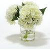 Waterlook® White Hydrangeas in Glass Cylinder