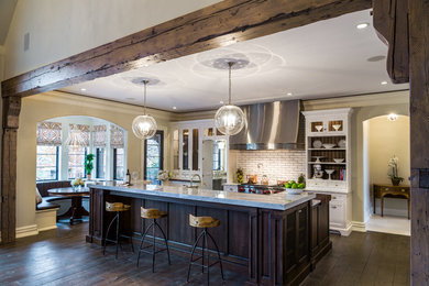 Kitchen - transitional kitchen idea in Chicago