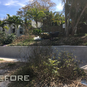 Before the transformation