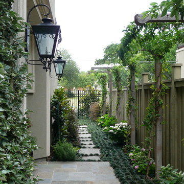 Modern Side Yard and Entrance