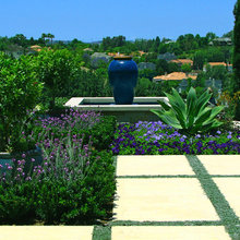 landscape ideas