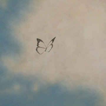 Sky, clouds and butterflies in Breckinridge Hills in Richardson