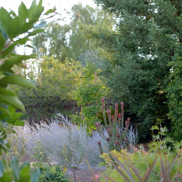 Los Altos Landscape Garden Design
