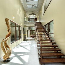 Windows & Skylights