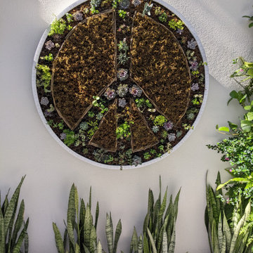 Courtyard Garden III