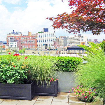 Soho, NYC Contemporary Rooftop Terraces with Layered Plantings