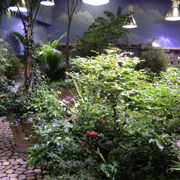 Atlantis Marine World Butterfly Exhibit