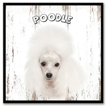 Poodle Dog Canvas Print, 15"x15"