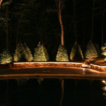 Tree Lighting