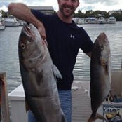 Phil DeFelice's photo