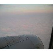 Jack Mackie's photo