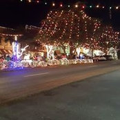 Sandy Greene's photo