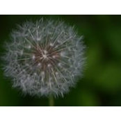 Jo Carpenter's photo