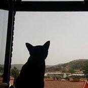 Photo de Aisha Ramos
