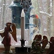 Frances Dion's photo