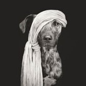 Anne Pibault's photo