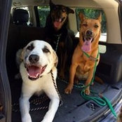 Nikki Lombardi's photo