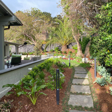 La Jolla Restoration
