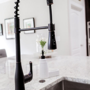 Matte Black Coil Spring Faucet with Pull-Down Spray Head
