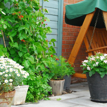 Warwick town garden