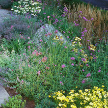 gardens/landscape