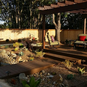 San Carlos Xeriscape