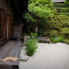 Japanese