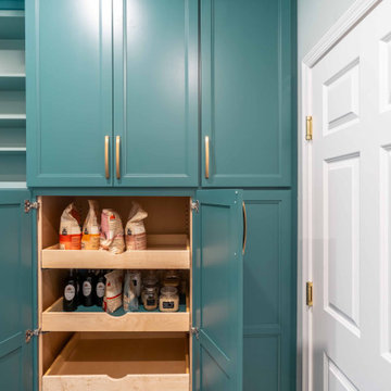 Ambler Interior & Exterior Remodel