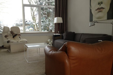 Example of a trendy living room design in Amsterdam