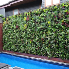 Greenwalls