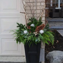 Landscape Ideas