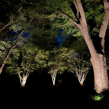 Luxury Landscape Lighting Installations — Greenville SC & Upstate South Carolina
