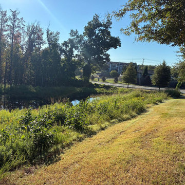 Pond Cleanup and Debris Removal