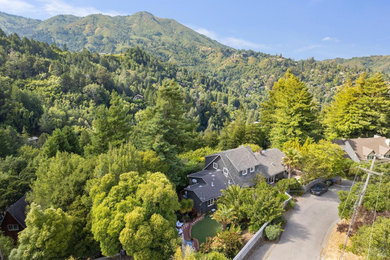 Mountain Views | Mill Valley